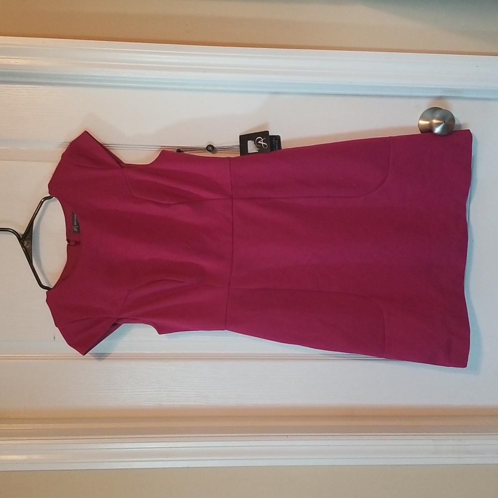 8 Petite New Adrianna Papell pink Dress